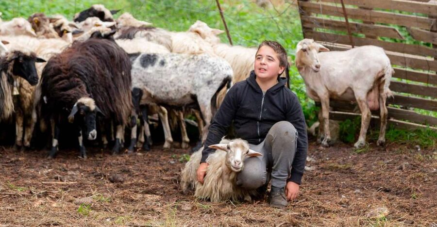 Arzana: Day with a shepherd w/ lunch in a farm - Meeting Stefania and Vincenzo