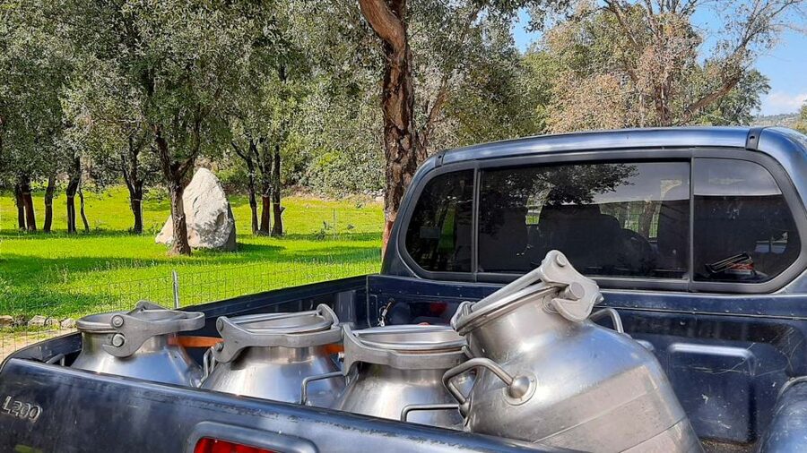 Arzana: Day with a shepherd w/ lunch in a farm - Is Six Hours the Right Length?