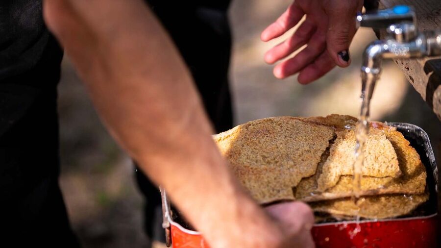 Arzana: Organic product tasting in a farm at sunset - Who will enjoy this Arzana evening most
