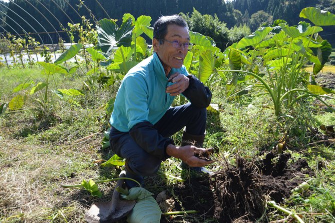 Aso Caldera and Farm Experience Tour - Meeting local people in rural Japan
