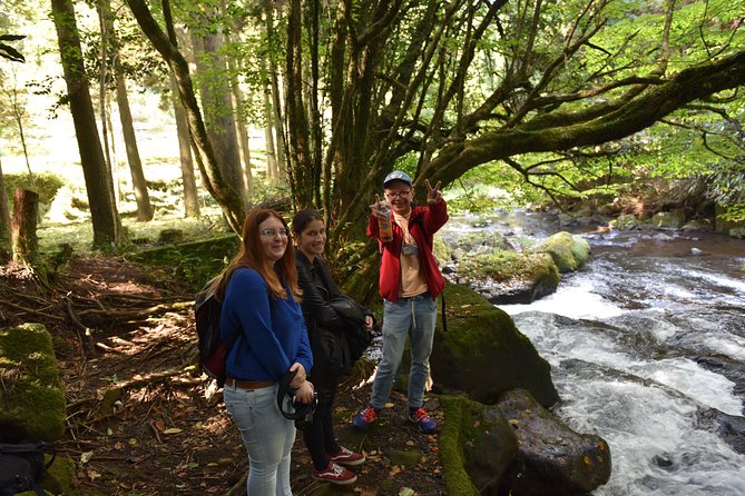 Aso Caldera and Farm Experience Tour - What the $156.09 price includes in value
