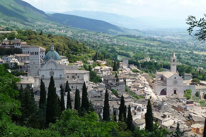 Assisi, Deruta & organic gourmet lunch at the olive oil farmhouse from SIENA - What the private car adds