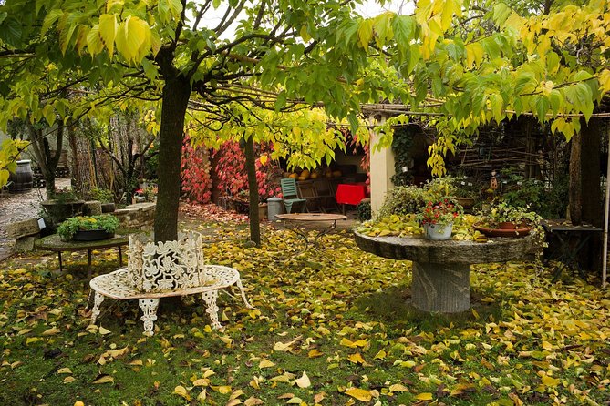 Assisi, Deruta & organic gourmet lunch at the olive oil farmhouse from SIENA - Details to confirm before booking