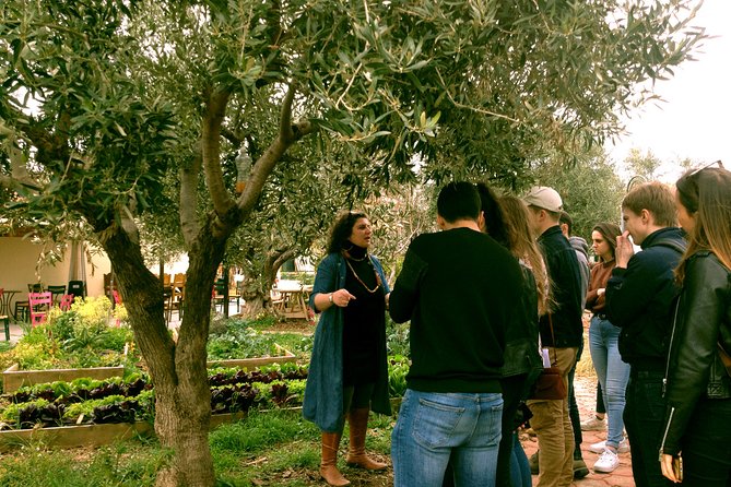 ATHENS OLIVE ESTATE - Olive Oil Workshop with Farm-to-Fork Lunch - Why the private format matters