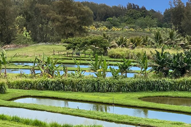 ATV Ranch ride Big Island Hawaii - Practical Tips Before You Go