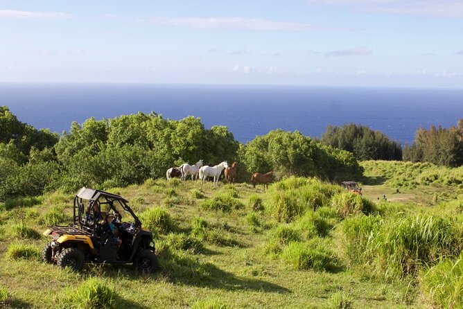 ATV Ranch ride Big Island Hawaii - Should You Book the WOH Ranch ATV Ride?