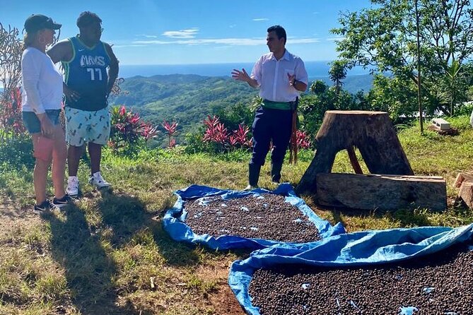 ATV Waterfall & Organic Coffee Farm with Lunch - Lunch above the hills and coast