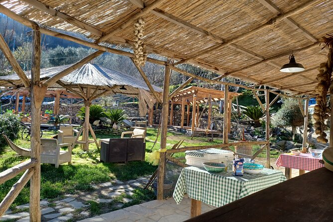 Authentic Farm Tour with Pizza, Cheese, Wine & Limoncello Tasting - Meeting in Sorrento and heading uphill