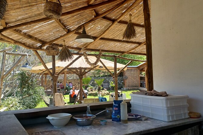 Authentic Farm Tour with Pizza, Cheese, Wine & Limoncello Tasting - What the $97.95 price really covers