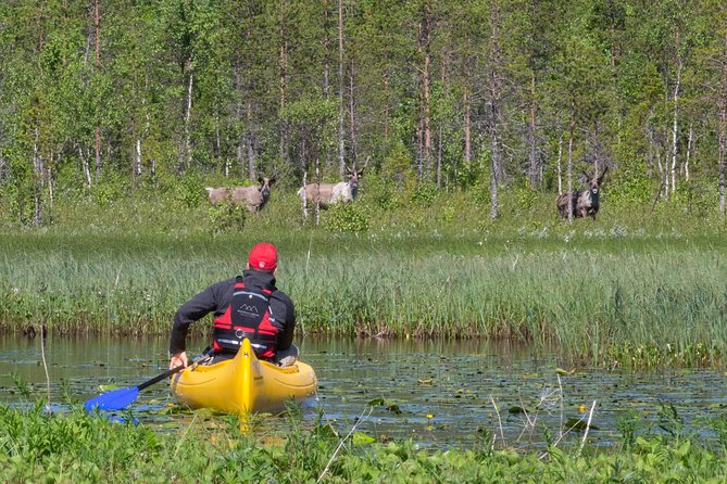 Authentic Reindeer Farm and Canoe Experience from Rovaniemi - From Rovakatu to a quiet farm outside town