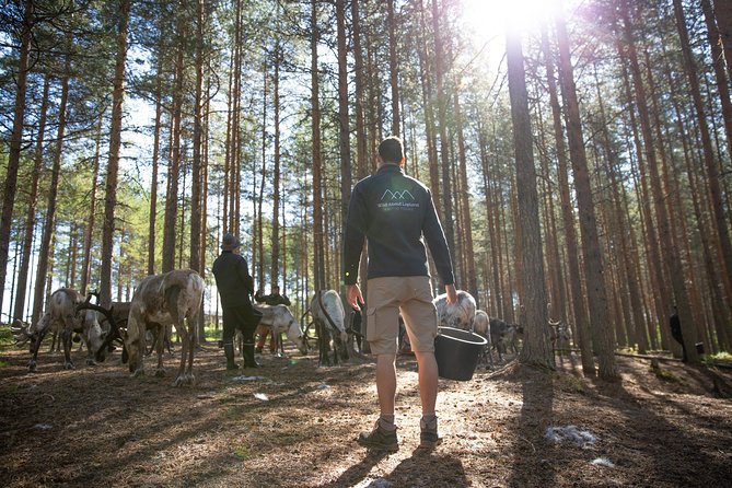 Authentic Reindeer Farm and Canoe Experience from Rovaniemi - Guides who add warmth to the day