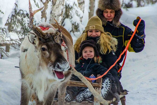 Authentic Reindeer Farm Experience in Rovaniemi - Watching the morning feeding