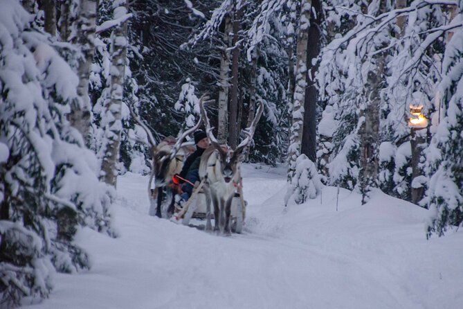 Authentic Reindeer Farm Experience in Rovaniemi - Taking the 400-meter self-driven sleigh ride