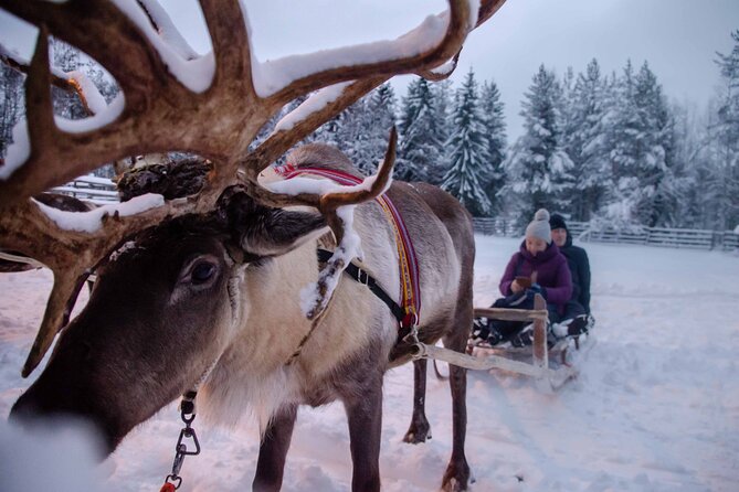 Authentic Reindeer Farm Experience in Rovaniemi - Warming up with tea and biscuits