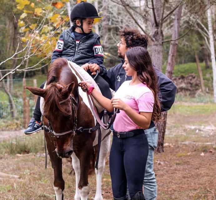 Aveiro: Horseback Riding at a Pedagogical Farm - Walk, trot, and gallop: what to expect in practice