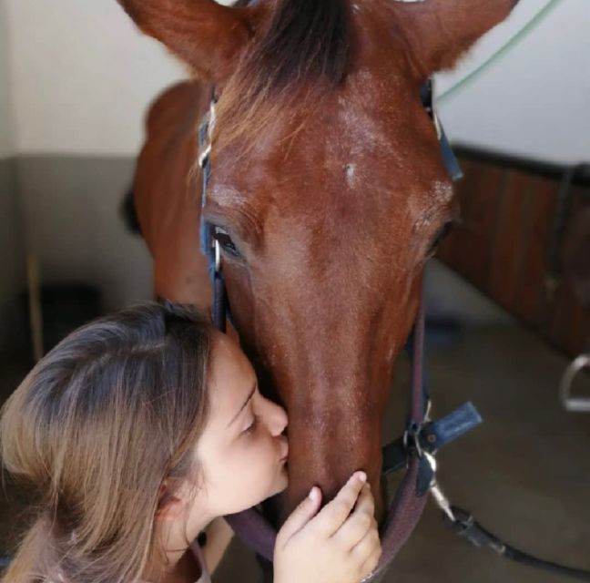 Aveiro: Horseback Riding at a Pedagogical Farm - Weather, timing, and what to bring