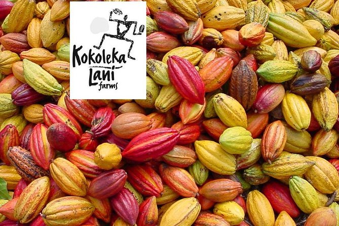 Award Winning Farm Tour: Coffee, Chocolate and Unique Gifts - Group size, age guidance, and comfort