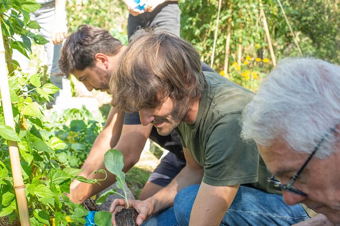 Award winning "From Farm to Table, A Culinary Day in Lyon" - Who should book this Lyon food tour?