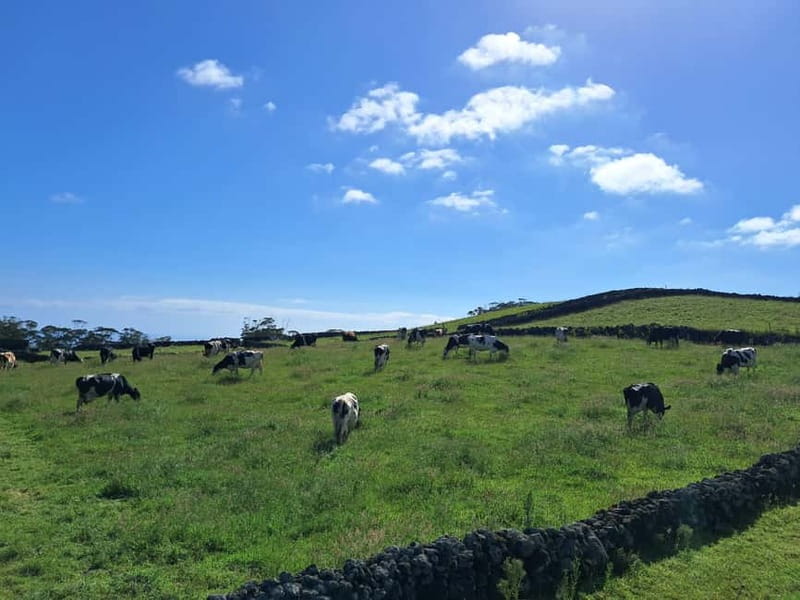 Azores: Dairy Farm Tour - Views from the first viewpoint