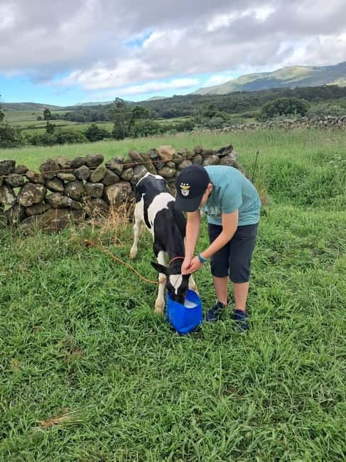 Azores: Dairy Farm Tour - A traditional village and the rhythm of island life