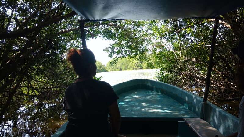 .Baby Turtle Release, Lagoon Boat Ride, and Crocodile Farm - Key points at a glance