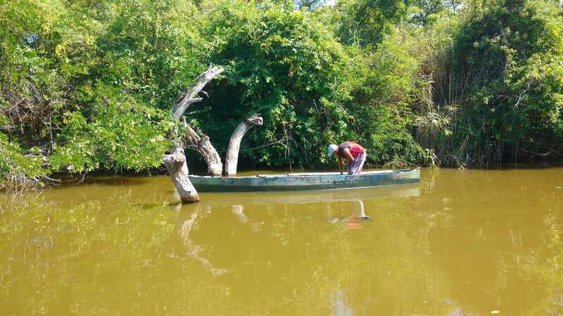 .Baby Turtle Release, Lagoon Boat Ride, and Crocodile Farm - A one-hour motorboat ride through the lagoon