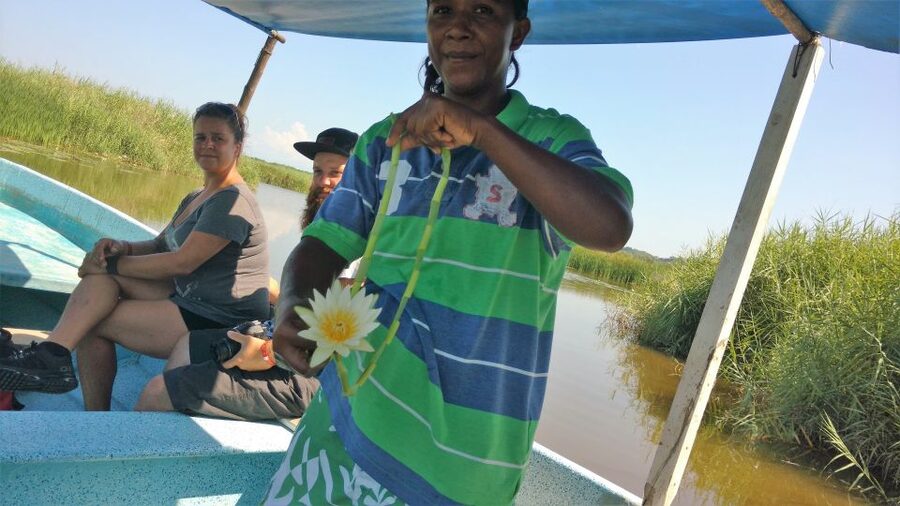 .Baby Turtle Release, Lagoon Boat Ride, and Crocodile Farm - Pickup, timing, and group size