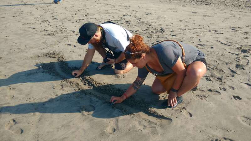 .Baby Turtle Release, Lagoon Boat Ride, and Crocodile Farm - Who will enjoy this tour most