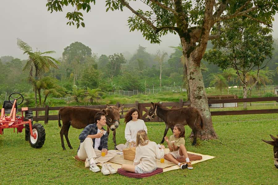 Bali: Farm House Experience with Entry Ticket & Options - Key points to know before you go