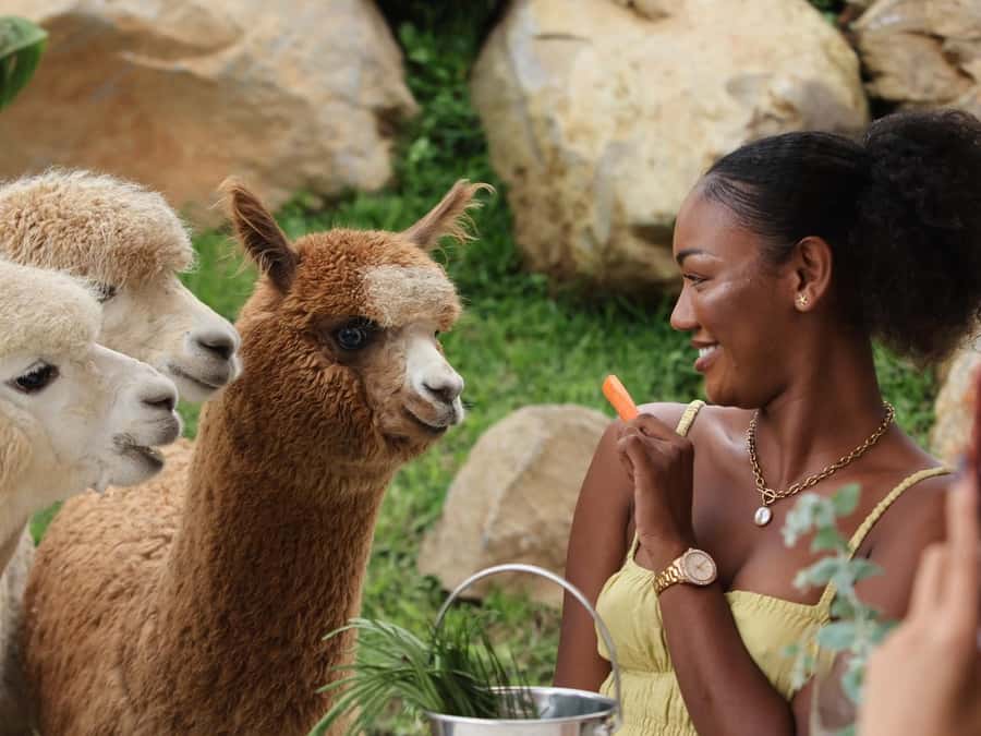 Bali: Farm House Experience with Entry Ticket & Options - Arriving at Bali Farm House in Pancasari