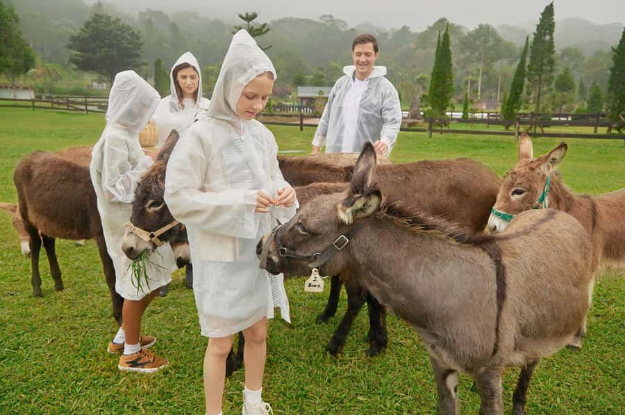 Bali: Farm House Experience with Entry Ticket & Options - Choosing the right animal package