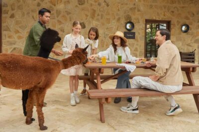 Farm House Experience with Entry Ticket & Options