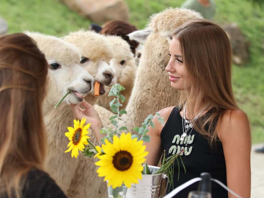 Bali: Farm House Experience with Entry Ticket & Options - Countryside views and photo opportunities