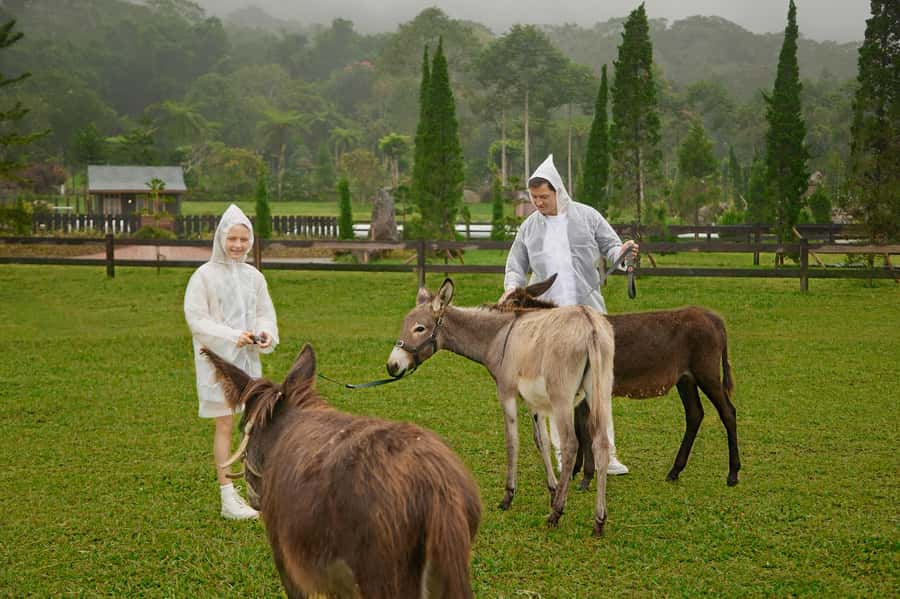Bali: Farm House Experience with Entry Ticket & Options - Who will enjoy this farm visit most?