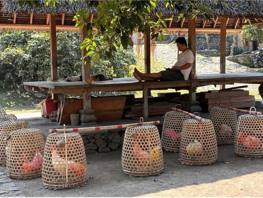 Bali: Traditional Villages, Salt Farm & Tirta Gangga Tour - Key points before you book