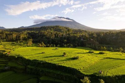 Traditional Villages, Salt Farm & Tirta Gangga Tour