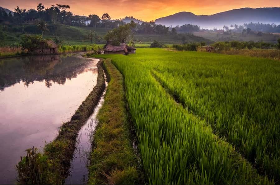 Bali: Traditional Villages, Salt Farm & Tirta Gangga Tour - Candidasa brings the sea into the day