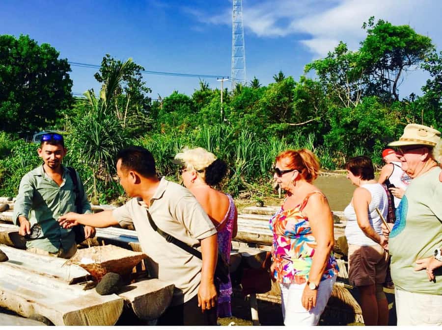 Bali: Traditional Villages, Salt Farm & Tirta Gangga Tour - What $34 really gets you
