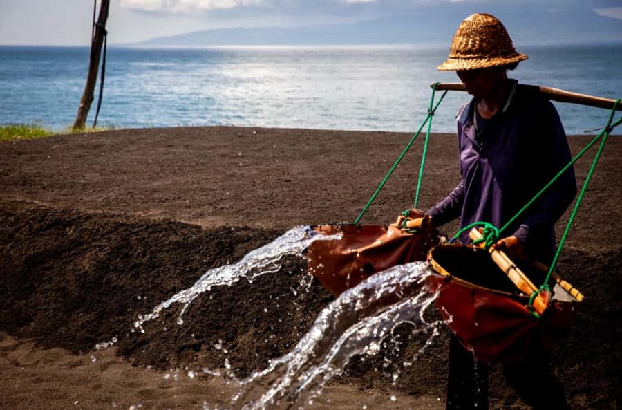 Bali: Traditional Villages, Salt Farm & Tirta Gangga Tour - Who should book this East Bali tour?