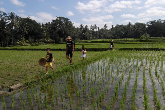 Balinese Cooking Class at Organic Farm - From welcome drink to garden harvest