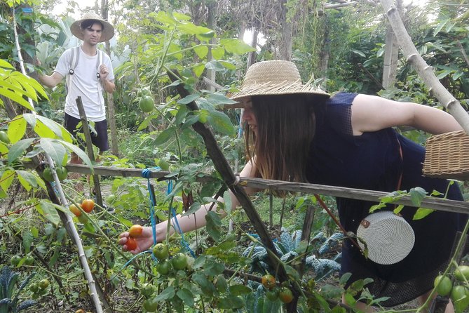Balinese Cooking Class at Organic Farm - Who will enjoy it most