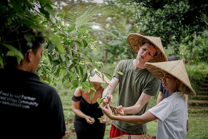 Balinese Farm Cooking Class by Pemulan Bali - Picking herbs and produce at the organic farm