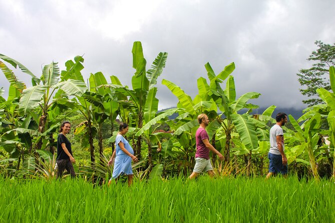 Balinese Vegan Cooking Class with Fresh Harvesting & Garden Tour - Cooking with traditional Balinese utensils