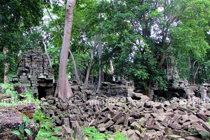 Banteay Chhmar Temple & Silk Farm Private Day Trip from Siem Reap - The Angkor Silk Farm from mulberry to woven cloth