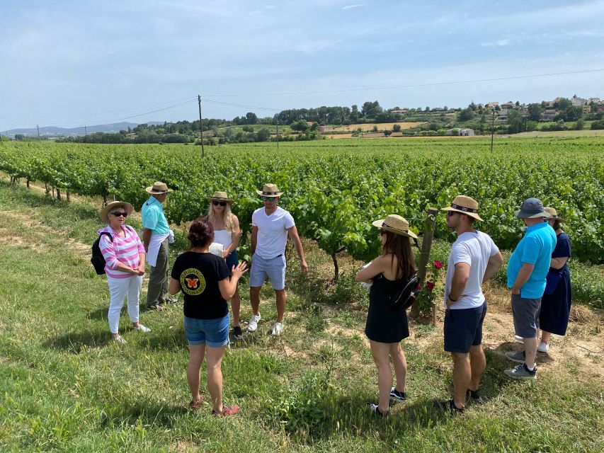 Barcelona: Montserrat with Winery Visit and Farmhouse Lunch - Inside Pares Baltà and the world of Cava