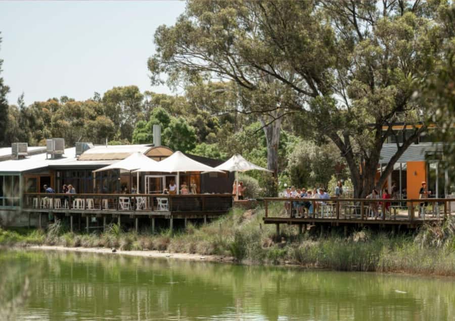 Barossa Valley: Maggie Beer's FarmShop Experience - The guided Pheasant Farm Wines and Orchard Gin tasting