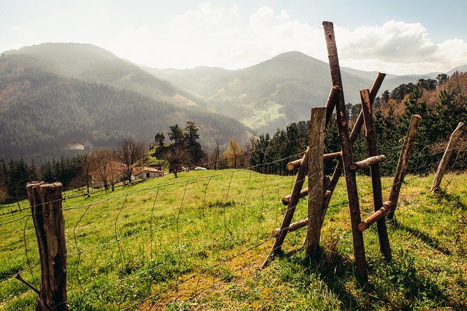 " Basque Farm House & Cider house" tour + meal from San Sebastian - What $111.98 buys you