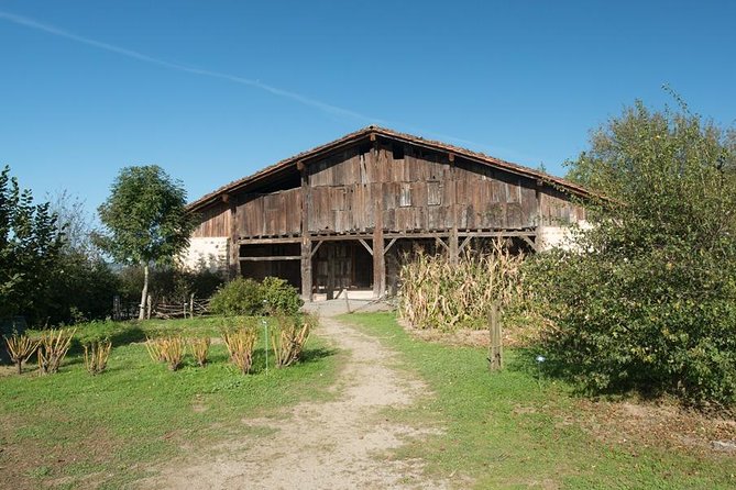 " Basque Farm House & Cider house" tour + meal from San Sebastian - Starting in San Sebastian at 10:30 a.m.
