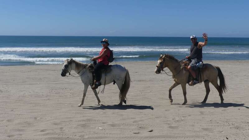 .Beach Horse Riding Turtle Release Crocodile Farm Experience - What Makes This Outing Worth Your Time