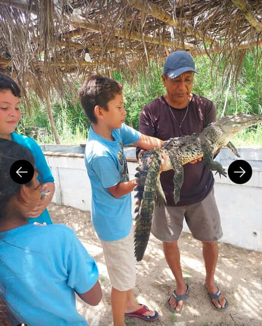 .Beach Horse Riding Turtle Release Crocodile Farm Experience - An Afro-Mexican Village With Local Context